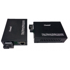 10/100 Bidi Media Converter